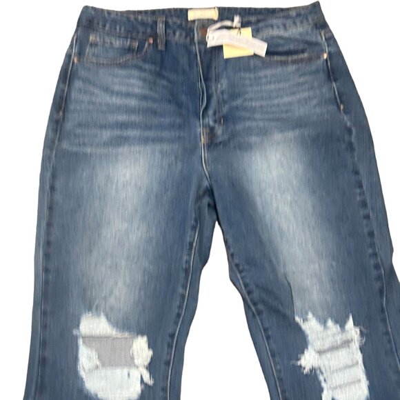 NWT tgla Womens Plus Size 2X Blue Jeans Button Fly Straight Leg Ankle High Rise - Picture 5 of 16
